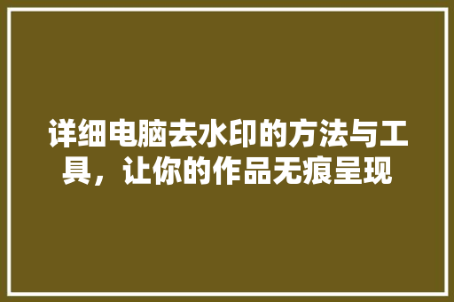 详细电脑去水印的方法与工具，让你的作品无痕呈现