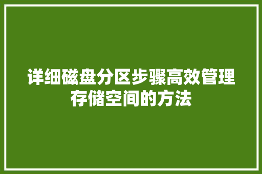 详细磁盘分区步骤高效管理存储空间的方法