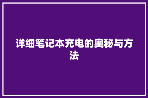 详细笔记本充电的奥秘与方法