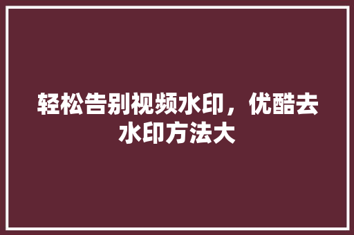 轻松告别视频水印，优酷去水印方法大