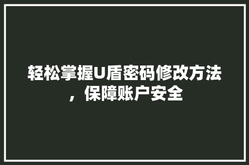 轻松掌握U盾密码修改方法，保障账户安全