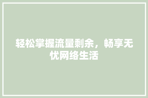 轻松掌握流量剩余，畅享无忧网络生活