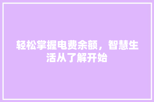 轻松掌握电费余额，智慧生活从了解开始