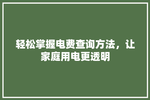 轻松掌握电费查询方法，让家庭用电更透明