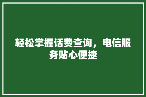 轻松掌握话费查询，电信服务贴心便捷