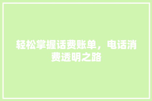 轻松掌握话费账单，电话消费透明之路