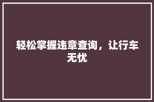 轻松掌握违章查询，让行车无忧