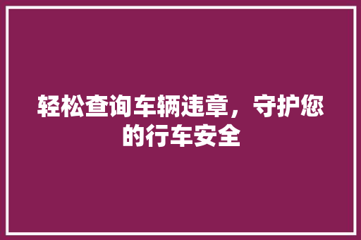 轻松查询车辆违章，守护您的行车安全