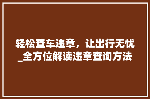 轻松查车违章，让出行无忧_全方位解读违章查询方法