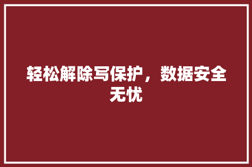 轻松解除写保护，数据安全无忧