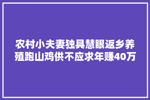 农村小夫妻独具慧眼返乡养殖跑山鸡供不应求年赚40万元