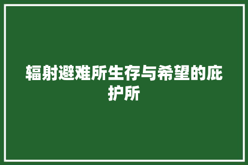 辐射避难所生存与希望的庇护所