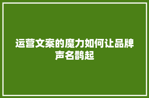 运营文案的魔力如何让品牌声名鹊起