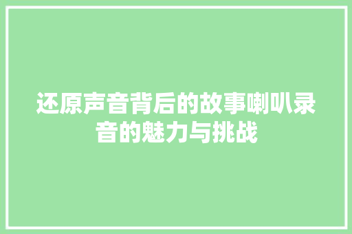 还原声音背后的故事喇叭录音的魅力与挑战