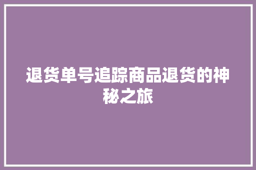 退货单号追踪商品退货的神秘之旅