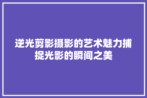 逆光剪影摄影的艺术魅力捕捉光影的瞬间之美