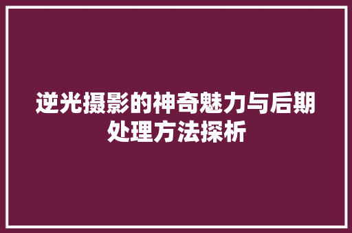 逆光摄影的神奇魅力与后期处理方法探析