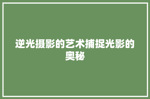 逆光摄影的艺术捕捉光影的奥秘