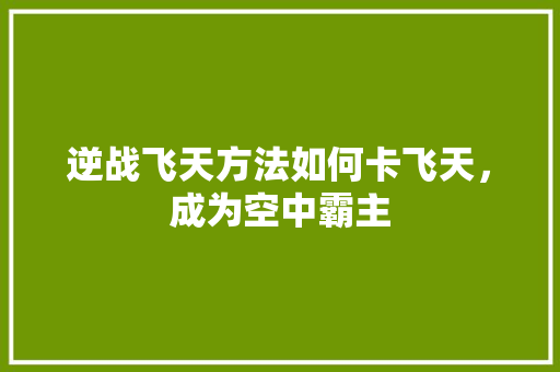 逆战飞天方法如何卡飞天，成为空中霸主