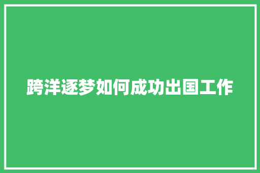 跨洋逐梦如何成功出国工作