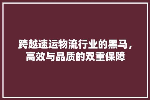 跨越速运物流行业的黑马，高效与品质的双重保障