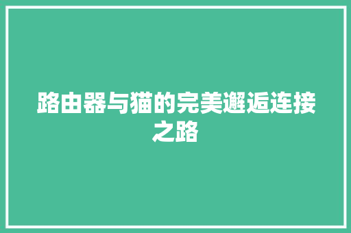 路由器与猫的完美邂逅连接之路