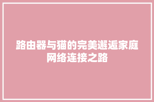 路由器与猫的完美邂逅家庭网络连接之路