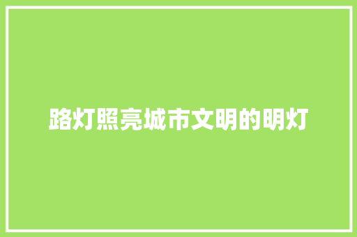 路灯照亮城市文明的明灯