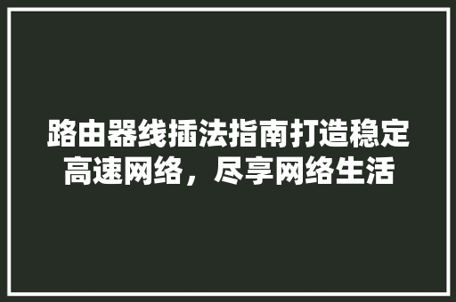 路由器线插法指南打造稳定高速网络，尽享网络生活