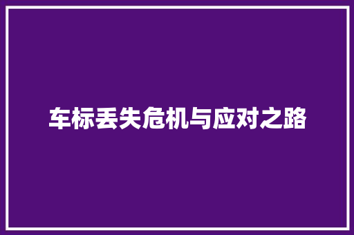 车标丢失危机与应对之路