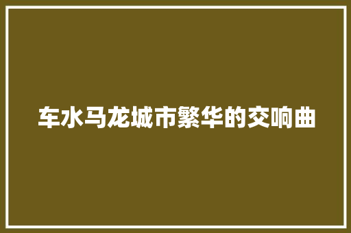 车水马龙城市繁华的交响曲