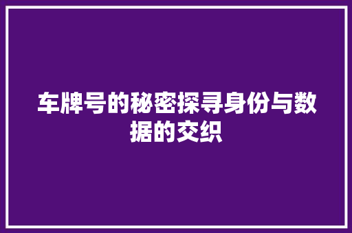 车牌号的秘密探寻身份与数据的交织