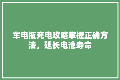 车电瓶充电攻略掌握正确方法，延长电池寿命