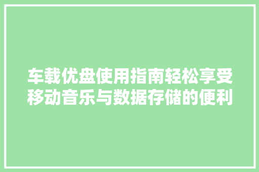 车载优盘使用指南轻松享受移动音乐与数据存储的便利