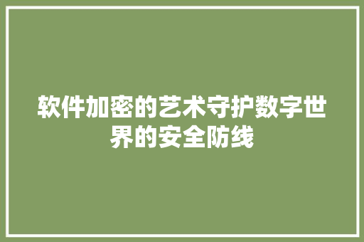 软件加密的艺术守护数字世界的安全防线