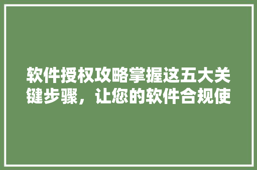 软件授权攻略掌握这五大关键步骤，让您的软件合规使用