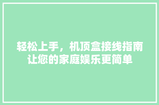 轻松上手，机顶盒接线指南让您的家庭娱乐更简单