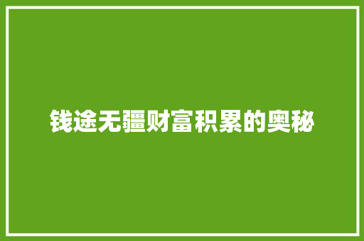 钱途无疆财富积累的奥秘