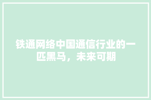 铁通网络中国通信行业的一匹黑马，未来可期