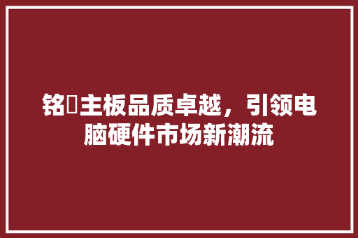 铭瑄主板品质卓越，引领电脑硬件市场新潮流