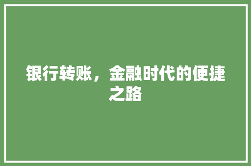 银行转账，金融时代的便捷之路