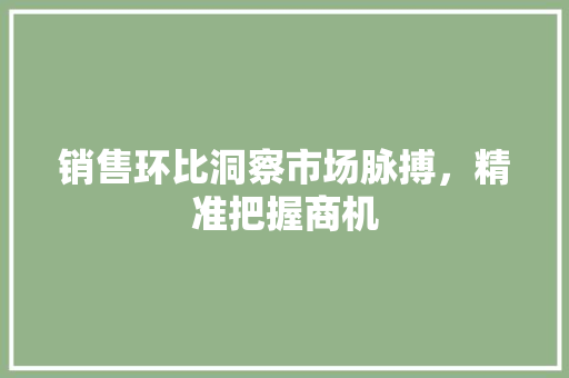 销售环比洞察市场脉搏，精准把握商机