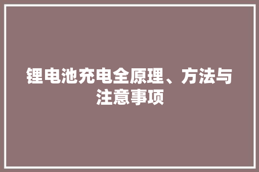 锂电池充电全原理、方法与注意事项