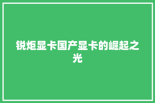 锐炬显卡国产显卡的崛起之光