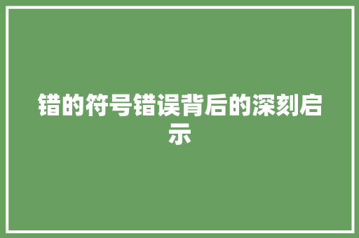 错的符号错误背后的深刻启示