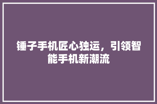 锤子手机匠心独运，引领智能手机新潮流