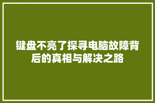 键盘不亮了探寻电脑故障背后的真相与解决之路