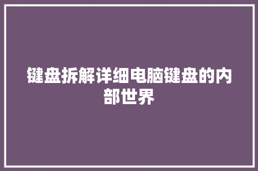 键盘拆解详细电脑键盘的内部世界