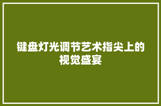 键盘灯光调节艺术指尖上的视觉盛宴