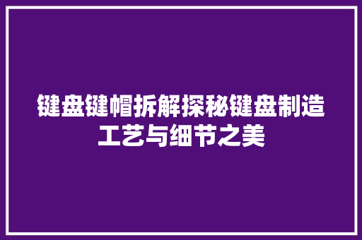 键盘键帽拆解探秘键盘制造工艺与细节之美